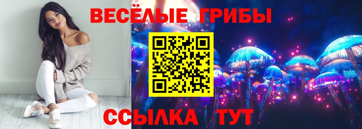 Псилоцибиновые грибы мухоморы  Вход с VPN  Ангарск 